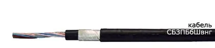 Кабель СБЗПБбШвнг 48х0,8